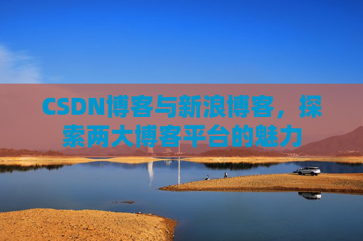 CSDN博客与新浪博客，探索两大博客平台的魅力